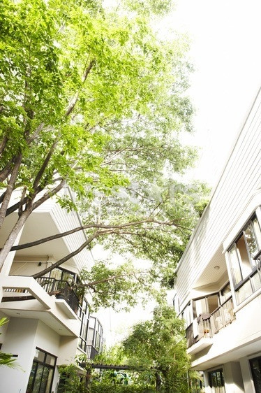 Brand new Townhome Estate close to Thonglor BTS, photo 7