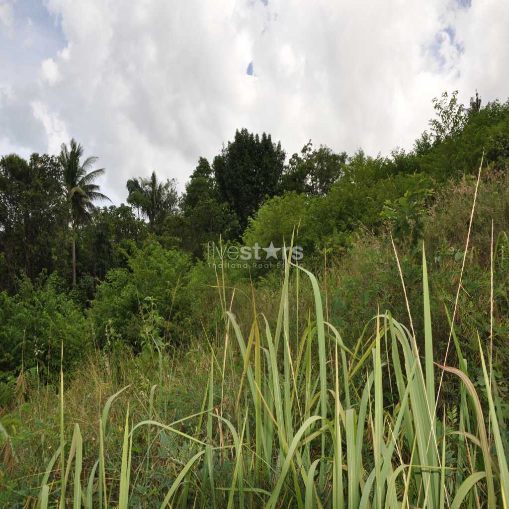 Terrain viabilisé à Bang Rank, photo 3