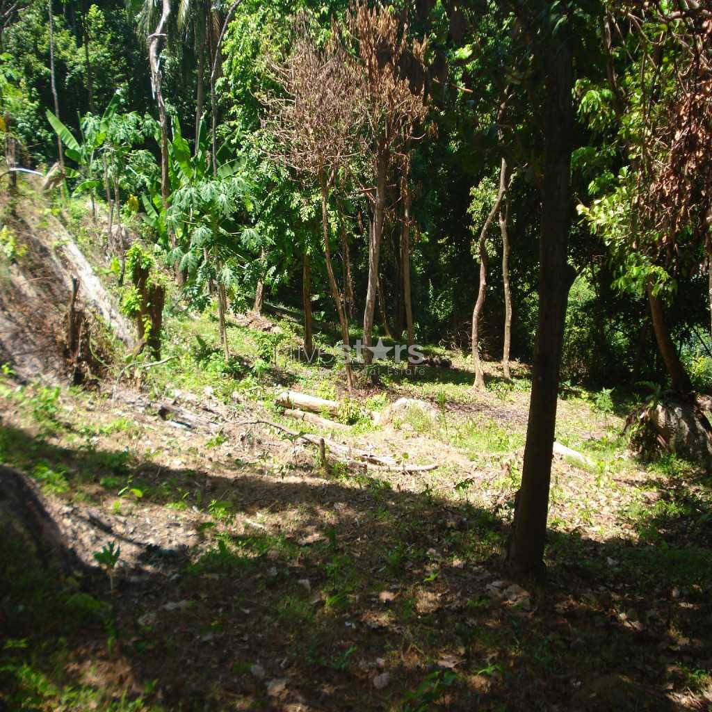 Great sea view land with two villas, photo 10