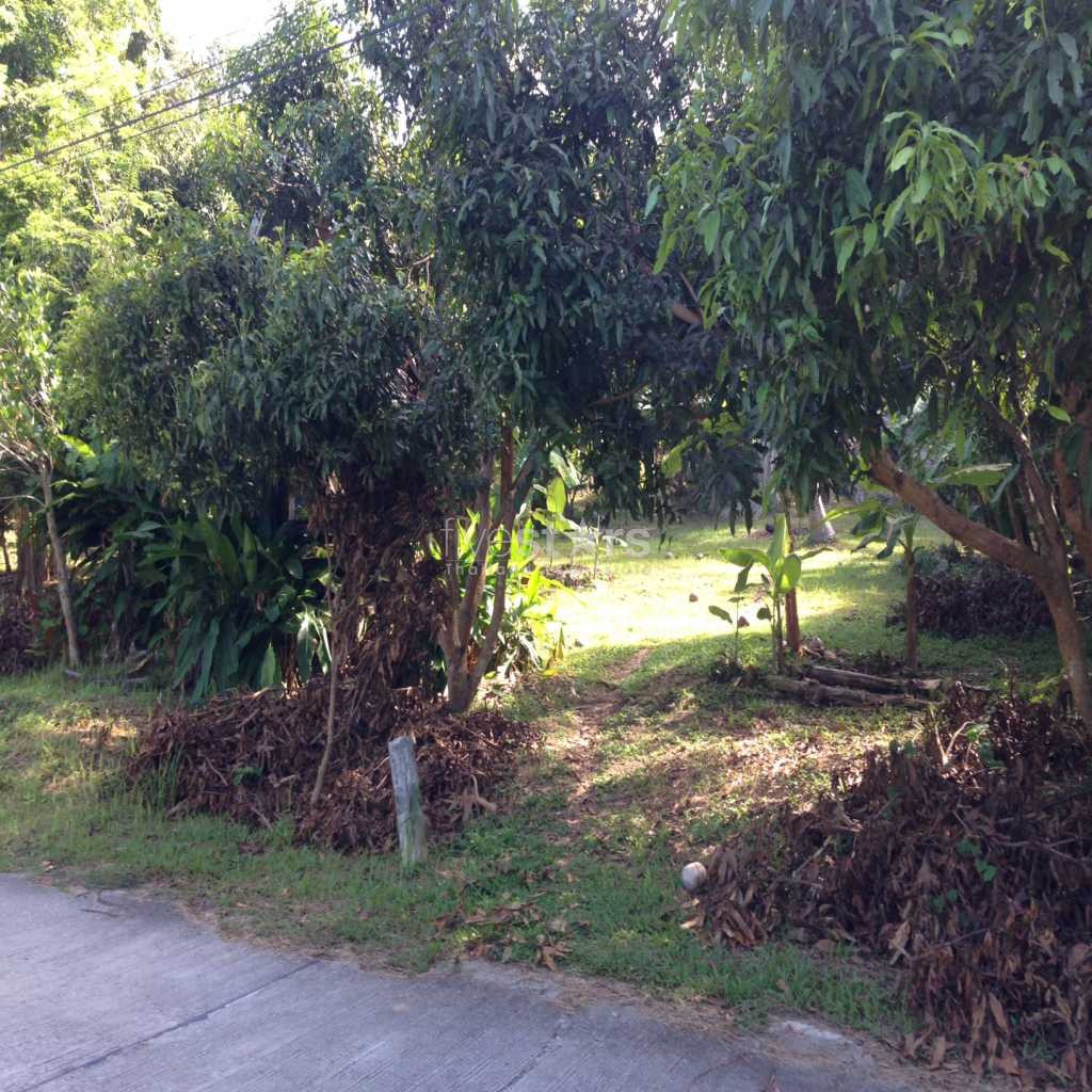Great sea view land with two villas, photo 6