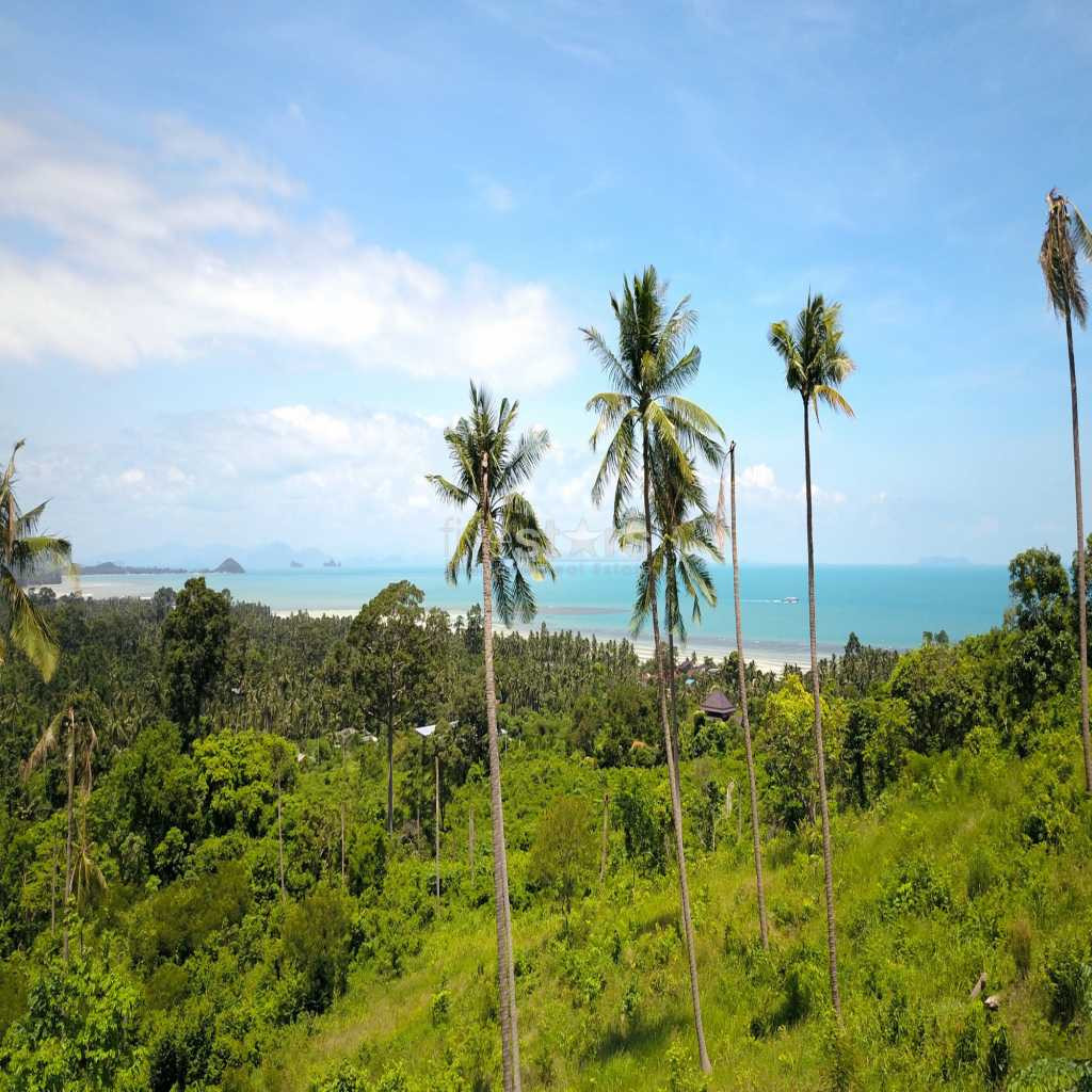 Beau terrain avec vue mer situé à Bang Por, photo 3