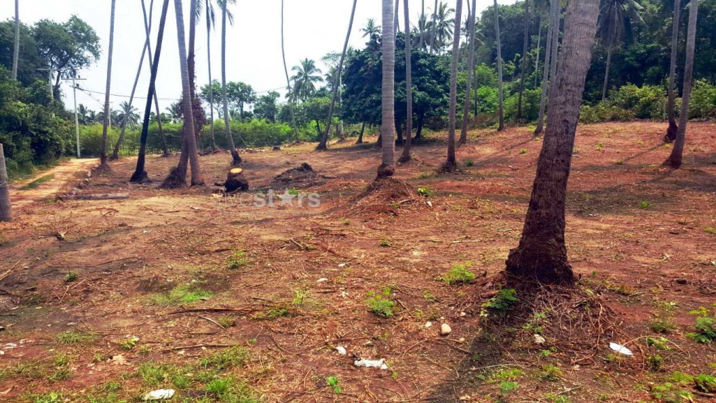 Terrain de 3460 m² en front de mer à Laem Sor, photo 6