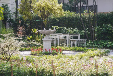 Single house with private pool for rent in Ekamai