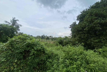 Property LUSM30567