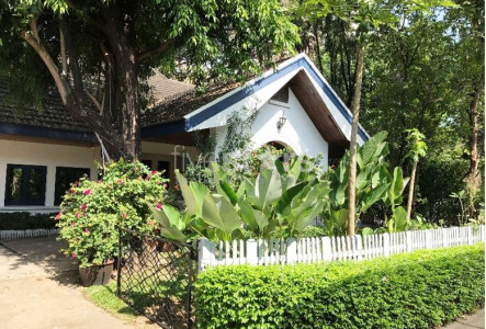 House with private swimmingpool 3 bedrooms for rent in Sukhumvit BTS Phromphong