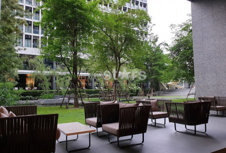 1 bedroom condo for rent in Bangkok BTS Ploenchit