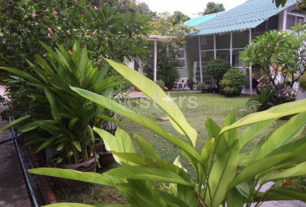 Single house with garden 2 bedrooms for rent near BTS Ploenchit