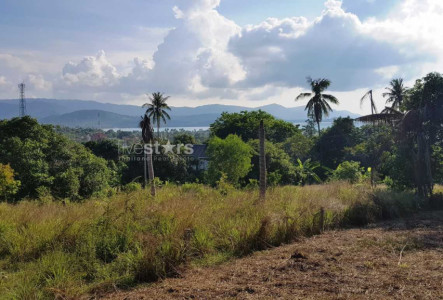 Property LUSM25420